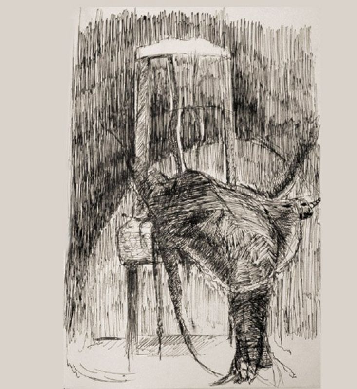 Arropiero, el domador de anguilas